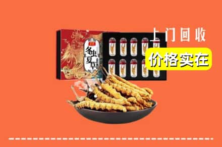 中牟县回收冬虫夏草